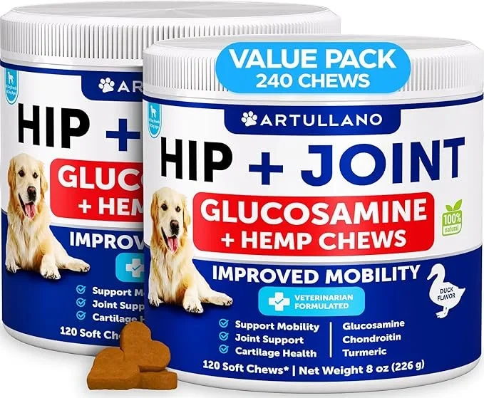 (2 Pack) Hemp Hip and Joint Supplement for Dogs – Glucosamine for Dogs Joint Pain Relief – Chews with Chondroitin, MSM, Hemp Oil – Mobility Support – Canine Cartilage Health – Made in USA