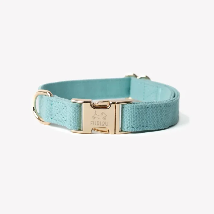 ‘Blue’ – Canvas Dog Collar