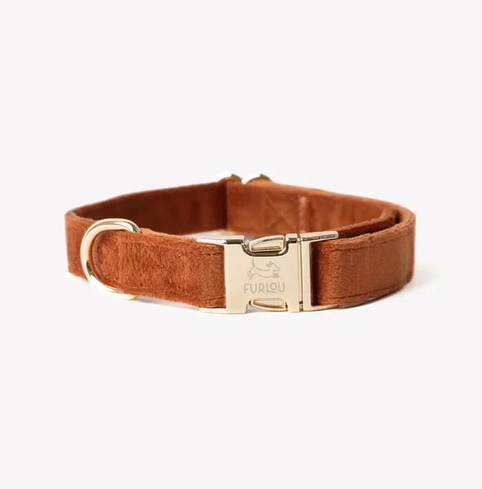 ‘Clay’ – Velvet Dog Collar