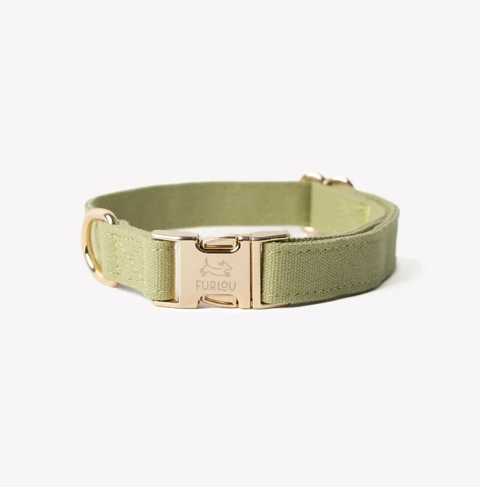 ‘Green’ – Canvas Dog Collar