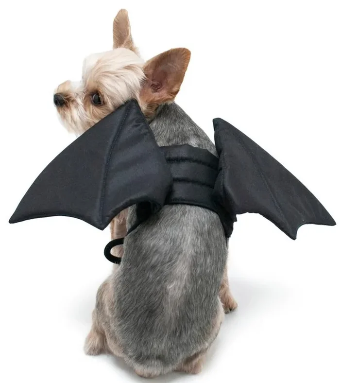 Adjustable Tie-On Bat Howl-O-Ween Dog Wings
