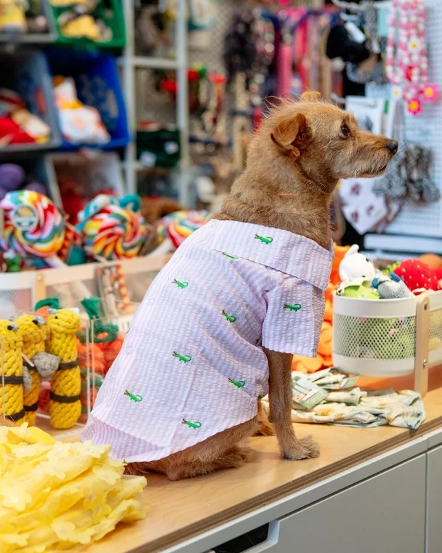 Alligator Pink Stripe Dog Shirt (FINAL SALE)