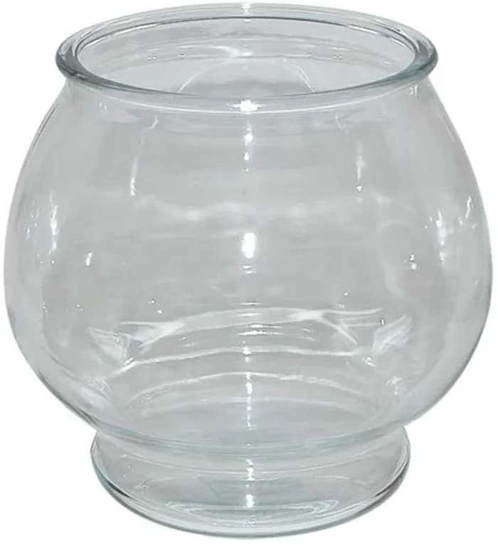Anchor Hocking Goldfish Bowl – Footed – 1 gal – Pack of 4