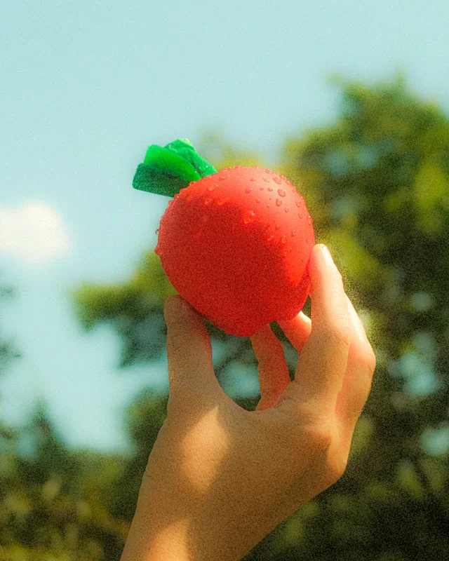 Apple Poop Bag Holder