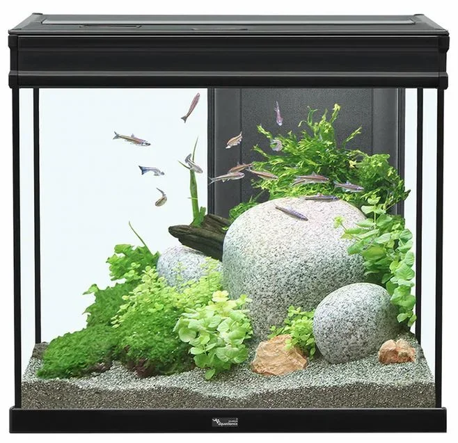 Aquatlantis Elegance Expert 60 Aquarium – Black – 27.5 gal