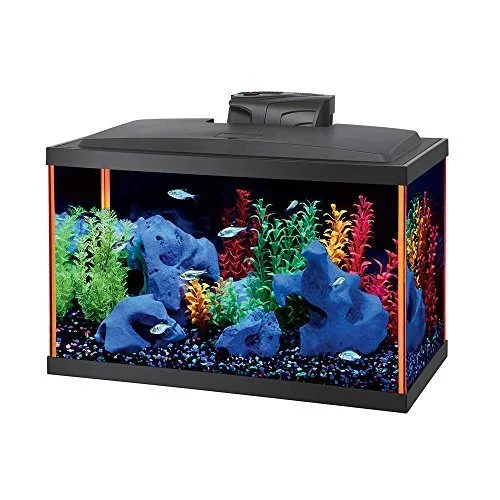 Aqueon NeoGlow LED Aquarium Kit – Orange – 10 gal