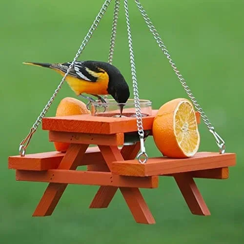 Backyard Essentials Oriole Picnic Table Feeder – Orange