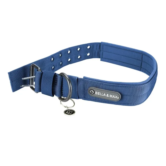 Bella and Max Heavy Adventure Dog Collar – Blue – X-Large