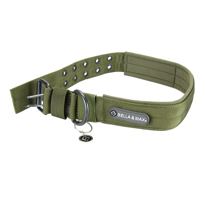 Bella and Max Heavy Adventure Dog Collar – Green – Extra Large