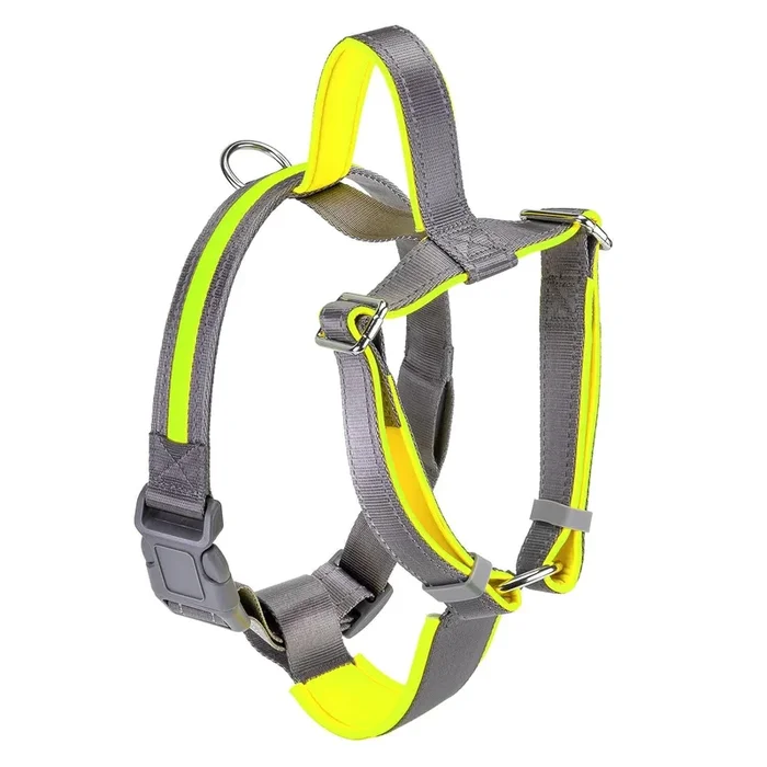 Bella and Max USB LED Lighting Dog Harness – Neon – Large