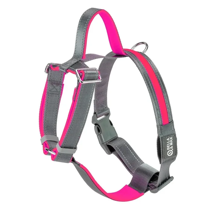 Bella and Max USB LED Lighting Dog Harness – Rose – Medium