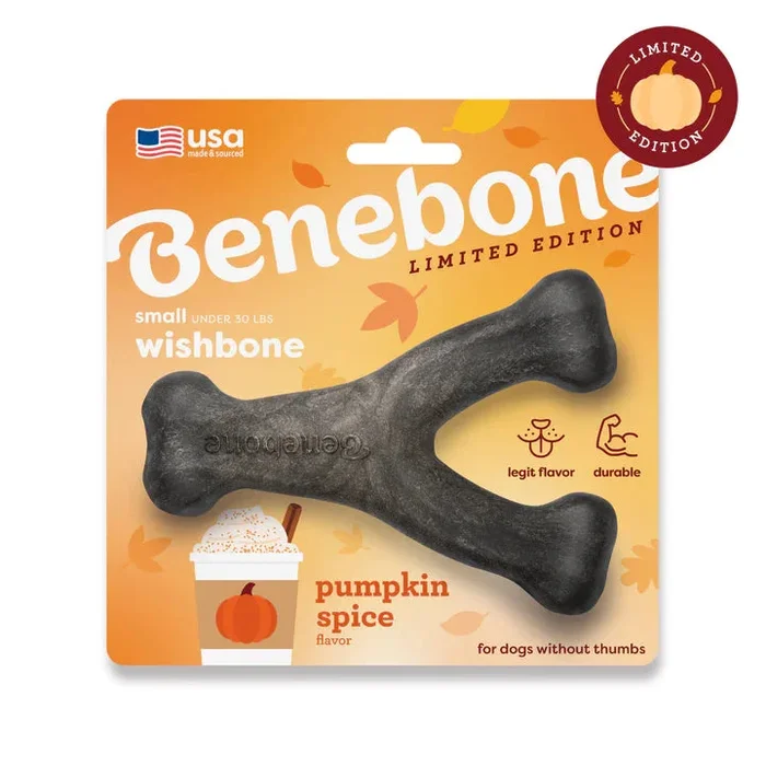 Benebone Pumpkin Spice Wishbone