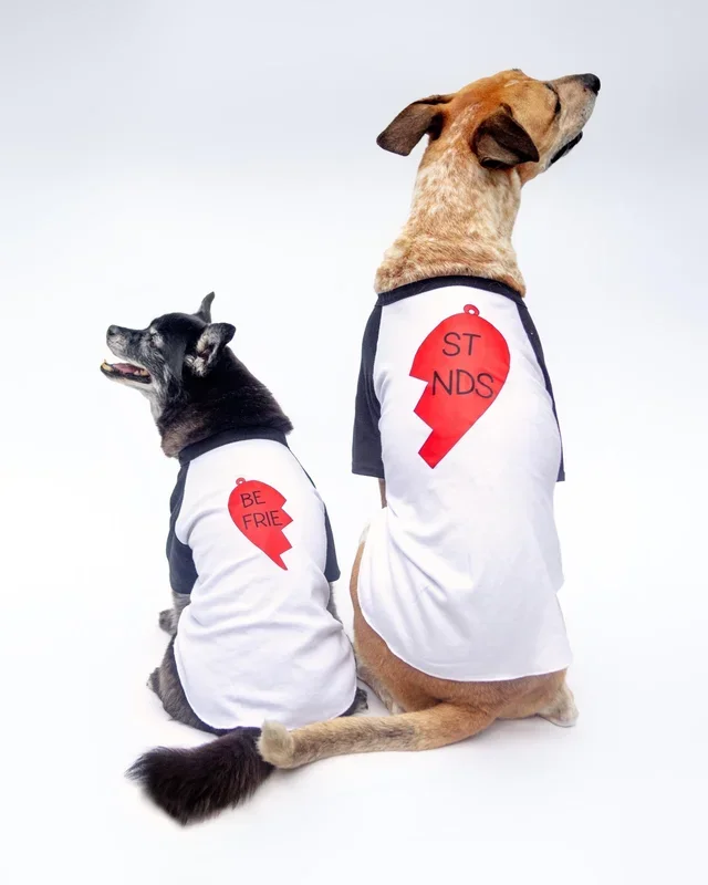 *Best Friends* Graphic Dog T-Shirt (Left Heart)
