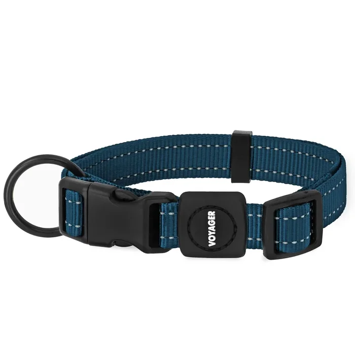 Best Pet Supplies Reflective Dog Collar With Adjustable Length, Heavy-Duty Buckle, And Strong Leash D-Ring, Training, Walking, Jogging Accessory For Small, Medium, And Large Breeds – Blue, S