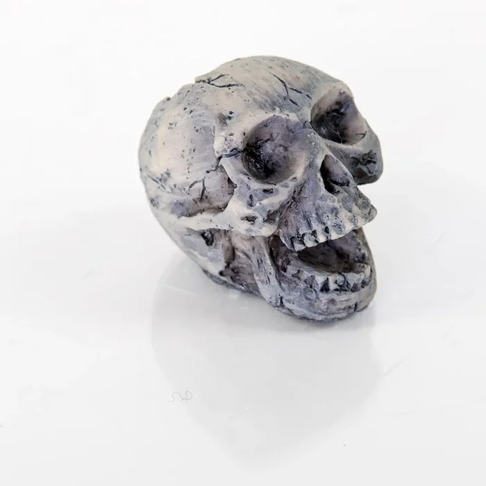 BioBubble Decorative Human Skull