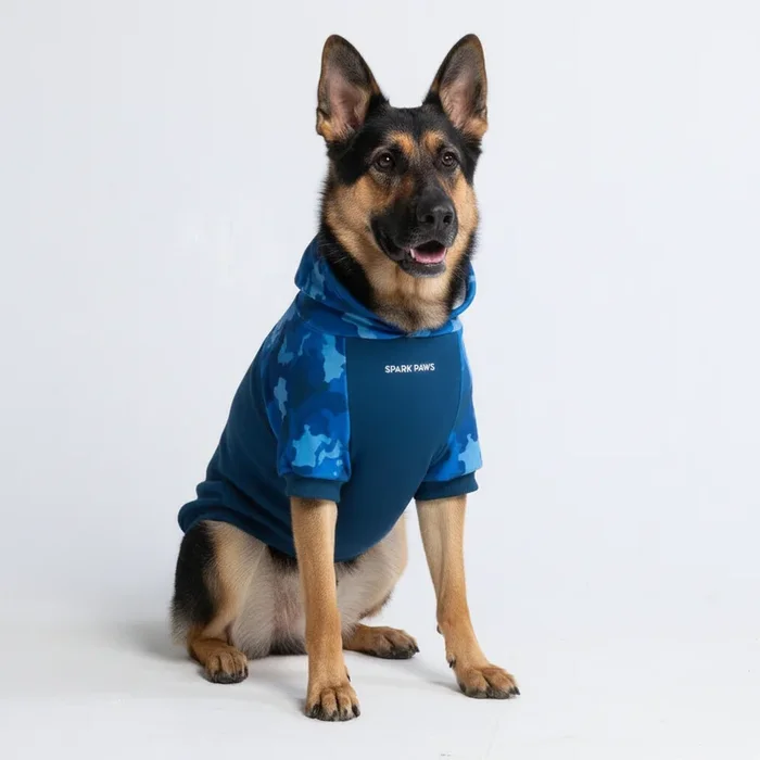Blaue Tarn-Hundehoodie