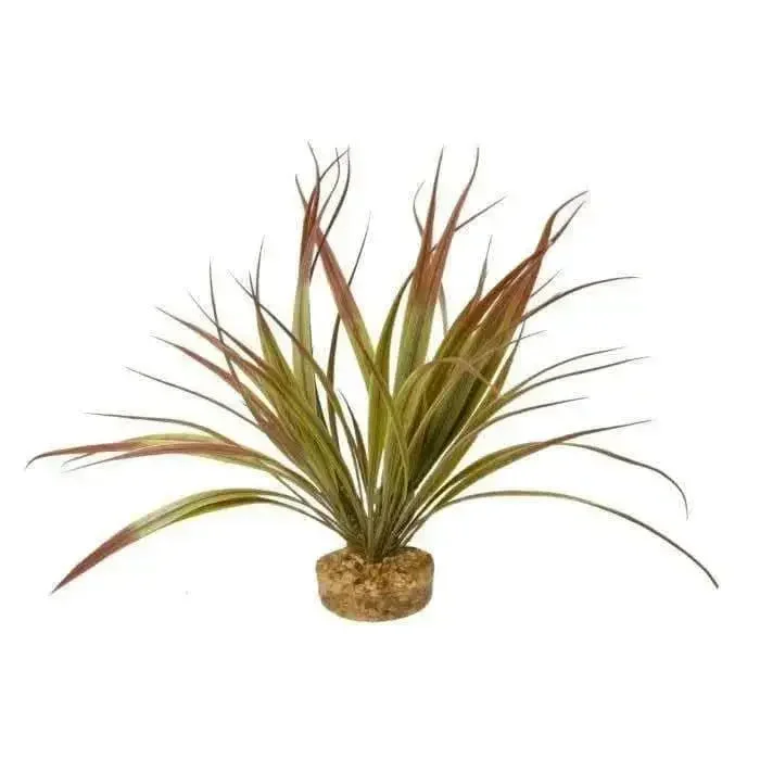Blue Ribbon Gravel Base Plant – Amazonia Plant Plum