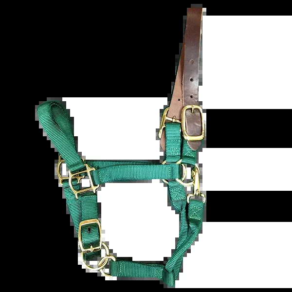 Breakaway Horse Halter