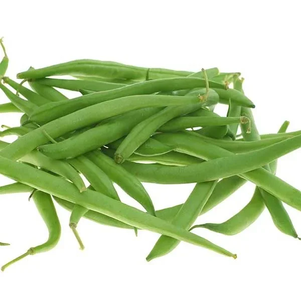 Bronco Bush Bean Vegetable Seed