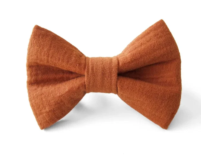 Brown Gauze Pet Bowtie