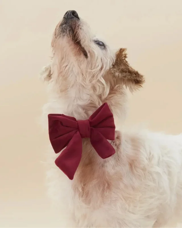 Burgundy Velvet Sailor Dog Bow Tie