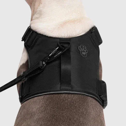 Canada Pooch Complete Control Harness, Black, S