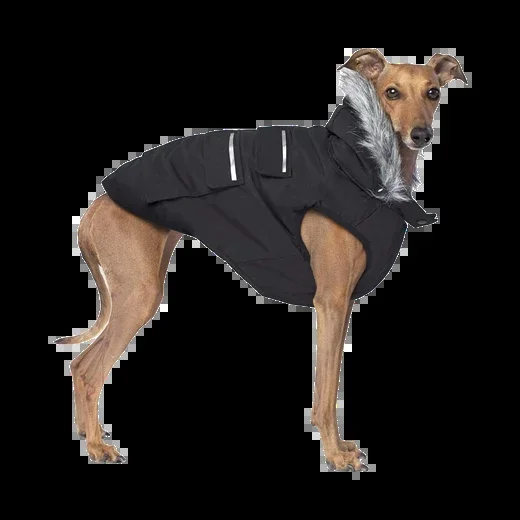 Canada Pooch Everest Explorer Jacket, Black, Size 12