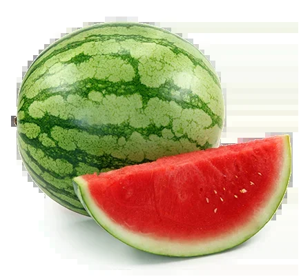 Charleston Gray Watermelon Vegetable Seed