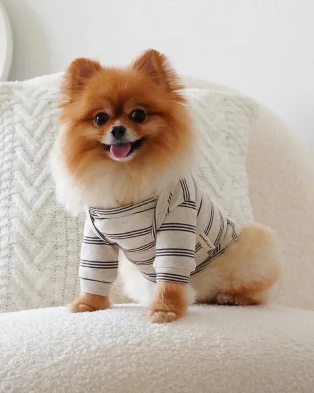 Chelsea Dog Tee in Earth (FINAL SALE)