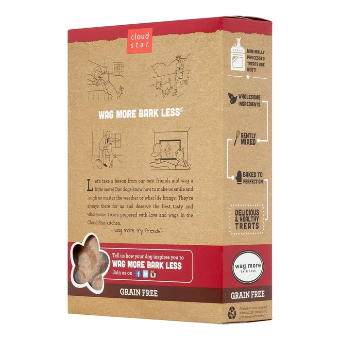 Cloud Star Grain-Free Wag More Bark Less Pumpkin Oven Baked Dog Biscuit Treats – 14 oz Box