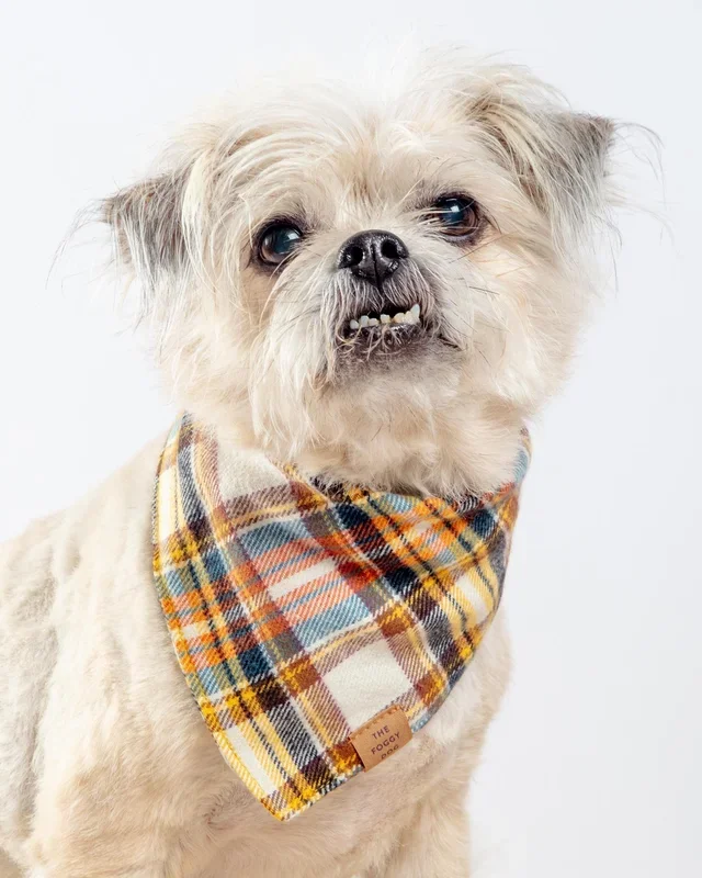 Cornucopia Flannel Fall Dog Bandana (Made in the USA) (FINAL SALE)