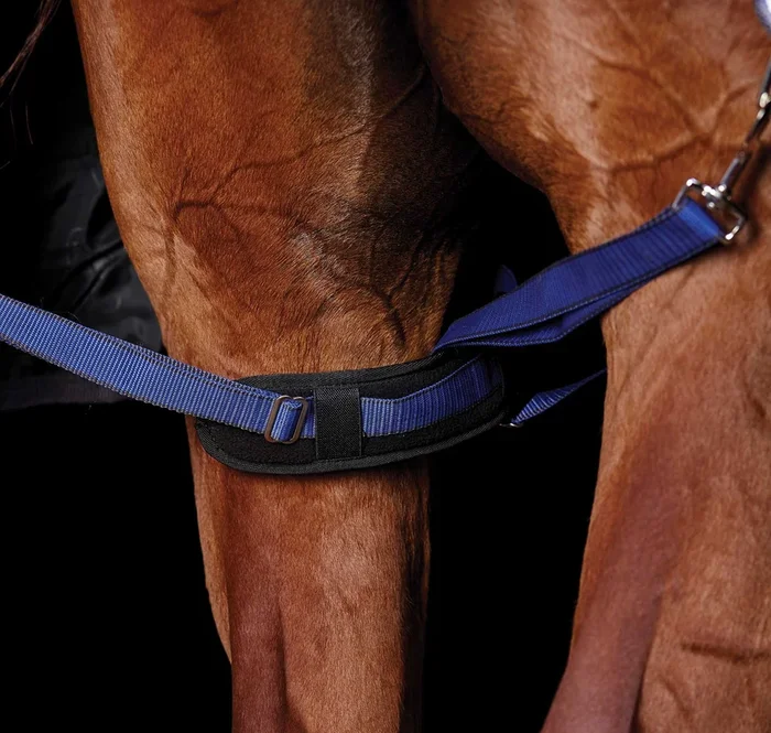 Correas acolchadas para patas traseras WeatherBeeta, par