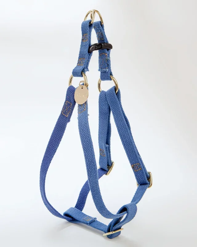 Cotton Webbing Harness in Brilliant Blue