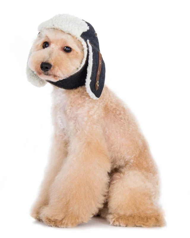 Denim & Sherpa Trapper Dog Hat