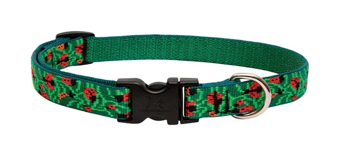 DOG COLLAR 13-22ADJ BMNA
