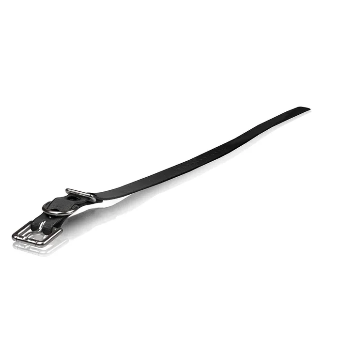 Dogtra Extra Dog Collar Strap 3/4″ x 24″