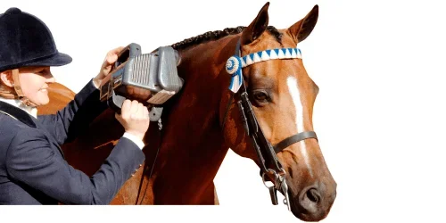 Equine Pro