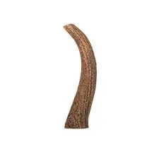 Fetchin Elk Antler, Large Whole