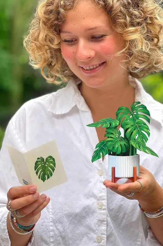 FreshCut Paper Mini Monstera