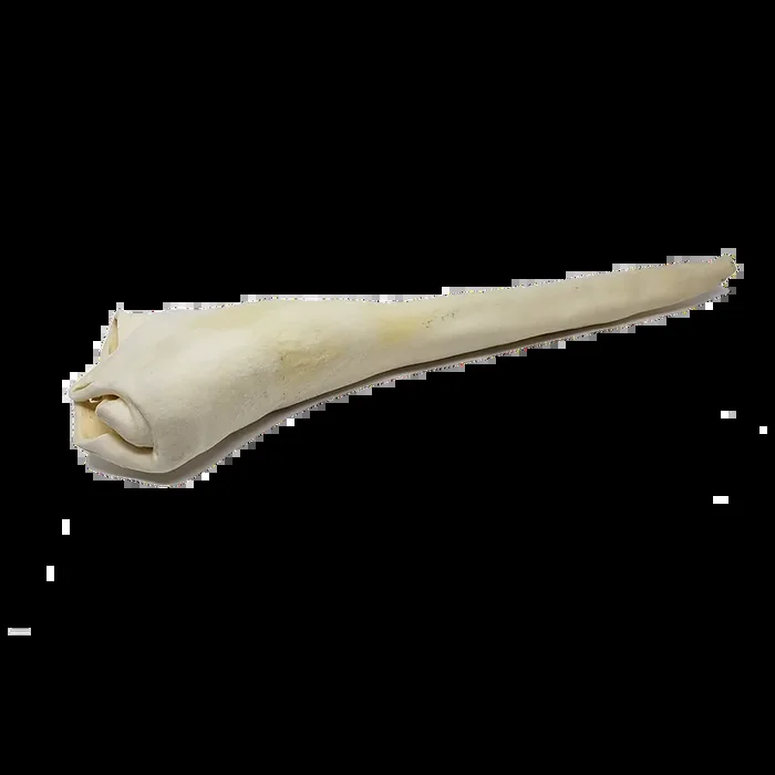 Full Length Bull Tail