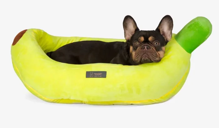 Fun Bed