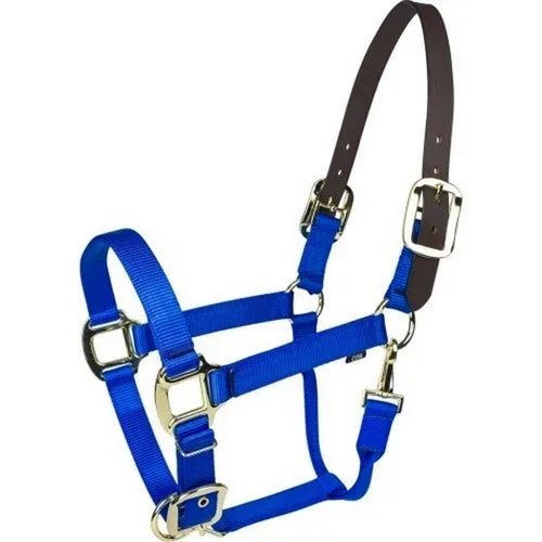 Gatsby, Gatsby Gold Nylon Breakaway Halter, COB,Blue