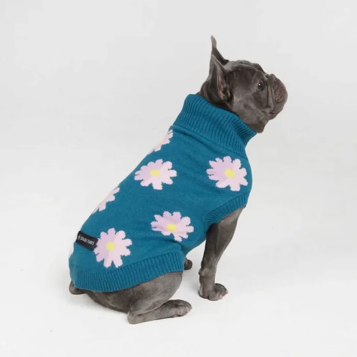 Gestrickter Hundepullover – Blume