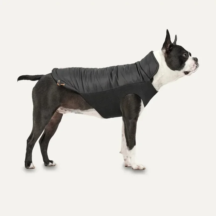 Goo-EEZ Mock Neck Winter Jacket – Black