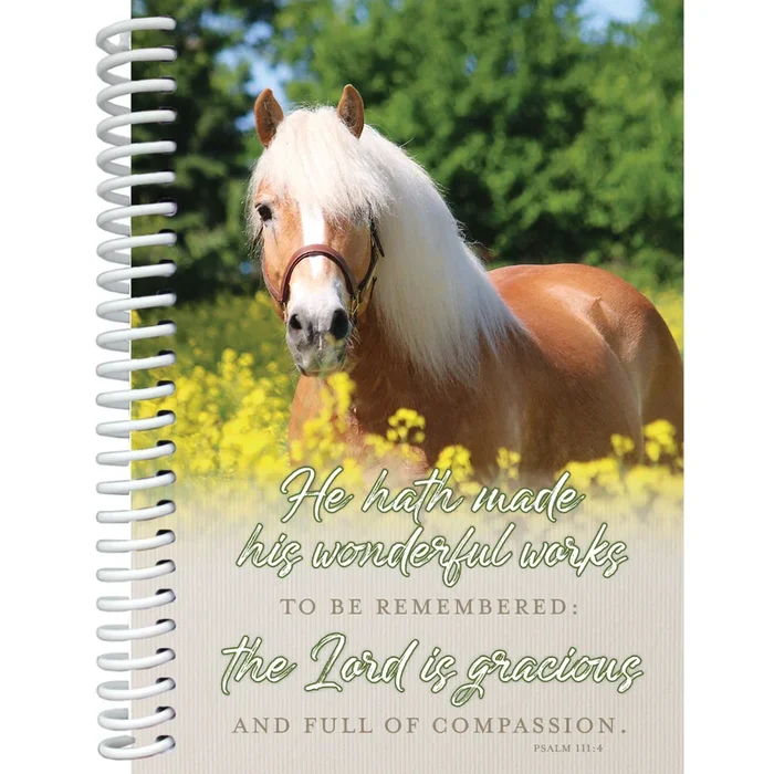 Gracious Notebook 5247