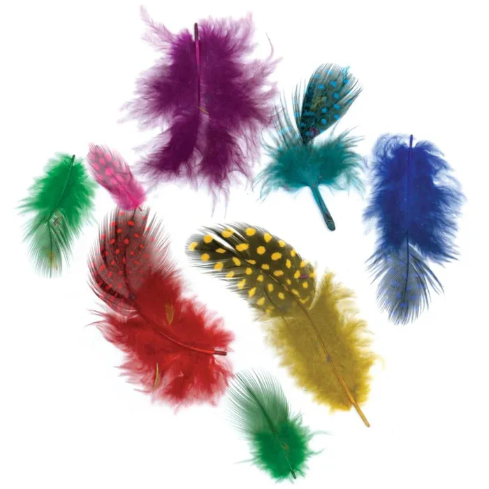 Guinea Hen Plumage Feathers B352