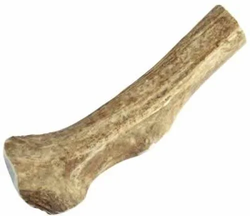 Happy Dog Sliced Elk Antler, Large