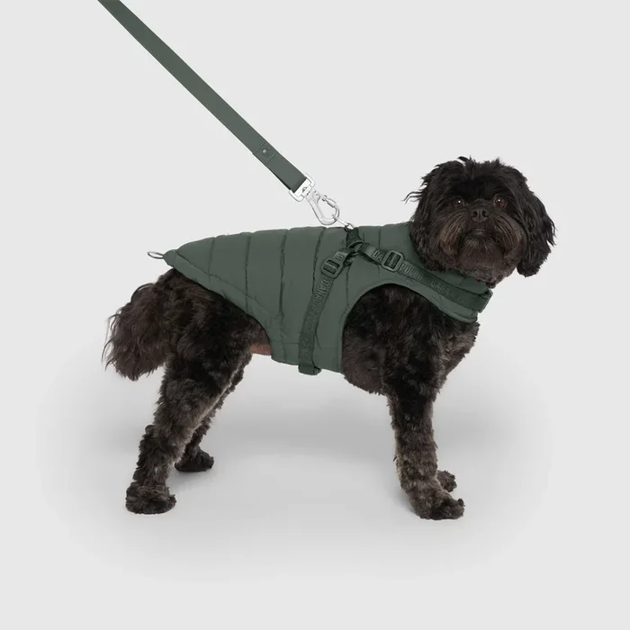 Harness Puffer