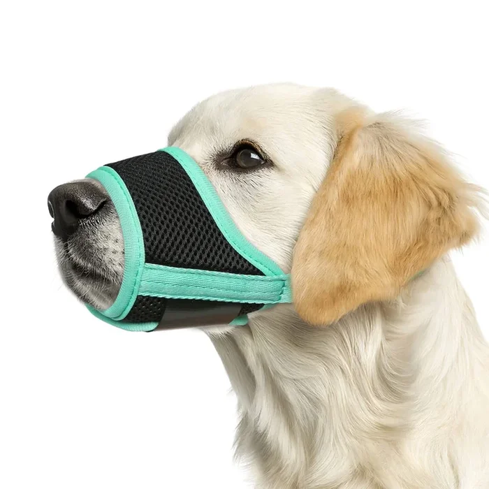HEELE Dog Muzzle – Soft Mesh, Breathable, Adjustable Straps, Prevents Biting & Chewing, Allows Drinking, Green, Medium Size