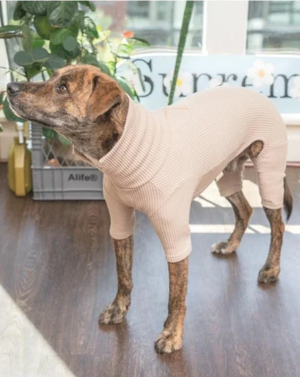 High V-Neck Dog Jumpsuit in Soft Beige